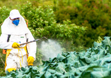 170313-un-pesticides