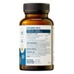 berberine pro liposomal back